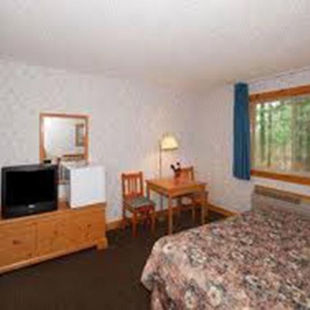 The Pinewood Lodge Au Gres Extérieur photo